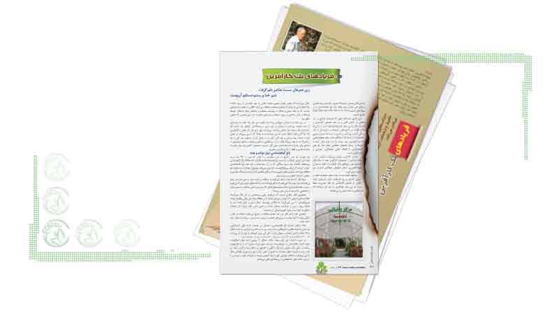 کارآفرینانی که حیف و میل میشوند